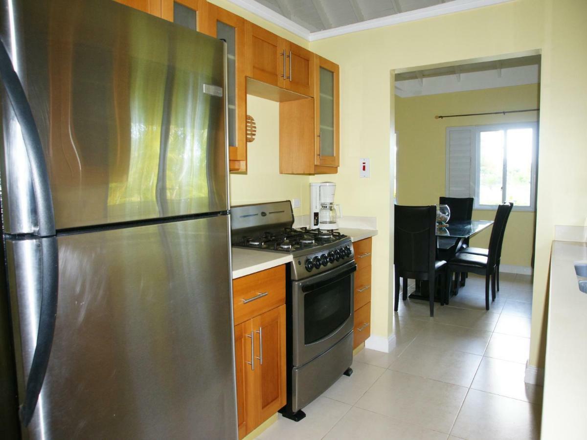 Jamnick Vacation Rentals - Richmond, St Ann, Jamaica Очо-Риос Экстерьер фото